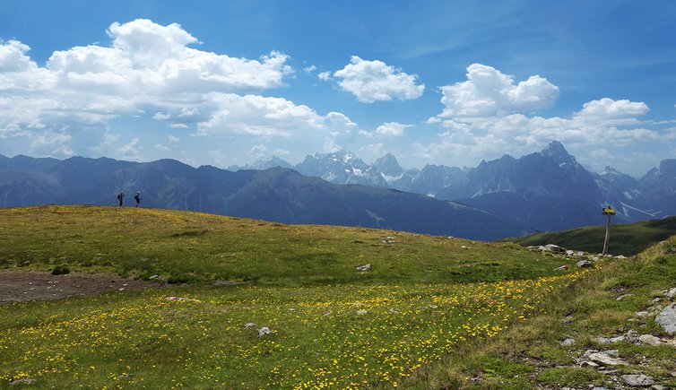 thurntaler mit bonner hoehenweg