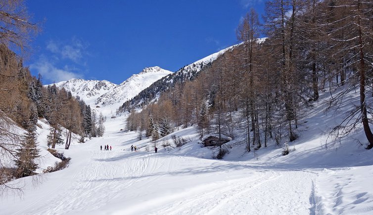 uwald alm pfoital und dahinter pfoialm gsies winter lenke und heilboeden spitz