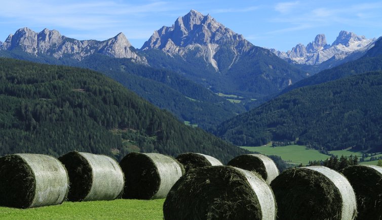 Taisten Taistner Alm Alpe di Tesido