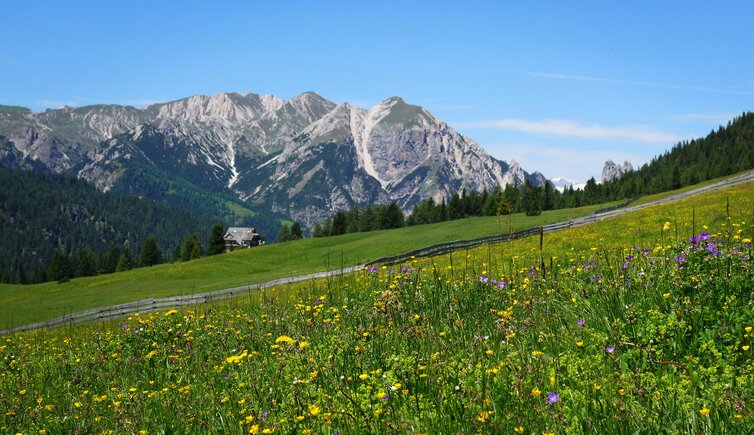 plaetzwiese und pragser dolomiten fr