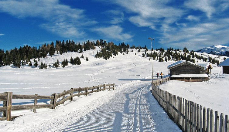 Rodenecker Alm winter