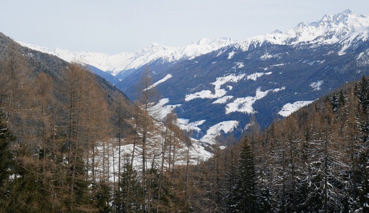 RS weissenbach tal und ahrntal dahinter tauern und durreck gruppe