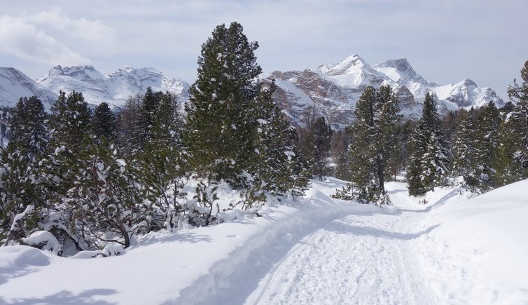 RS winter blick auf conturines und lavarella und heiligkreuzkofel zehner neuner