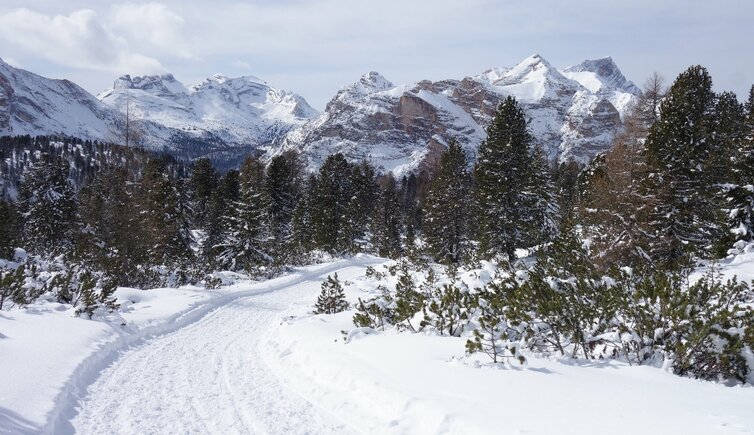 RS winter blick auf conturines und lavarella und heiligkreuzkofel zehner neuner