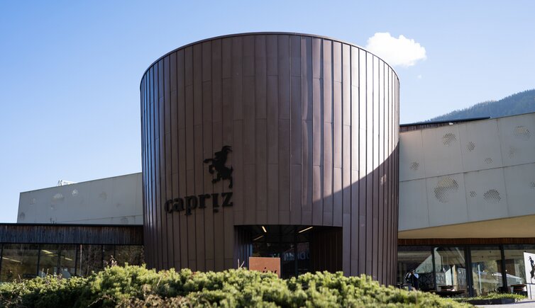 Copertina Capriz My Media