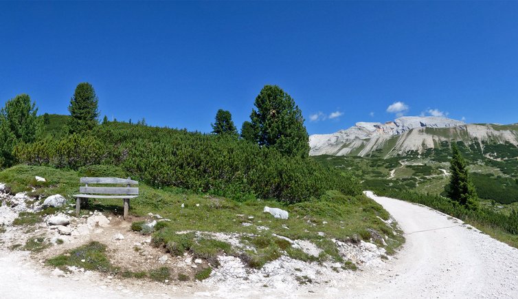 pustertal sennes alm malga sennes alm malga panorama